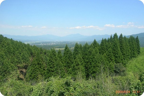 DSCN7047.jpg