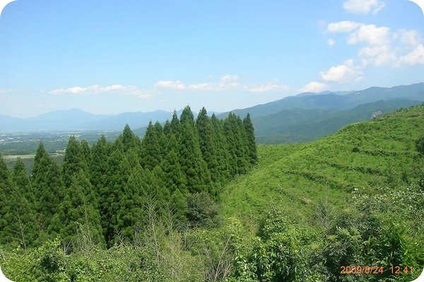 DSCN7048.jpg