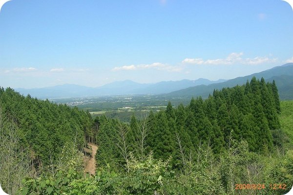 DSCN7051.jpg