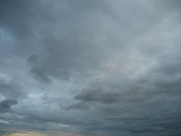 118.JPG