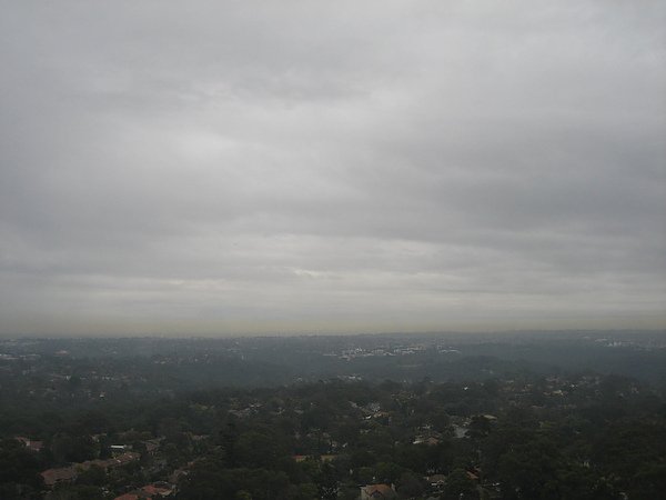 114.JPG