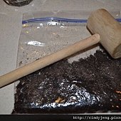 DSC_3386 (640x427)