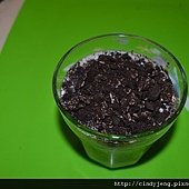 DSC_3396 (640x427)
