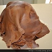 DSC_3846 (800x533)