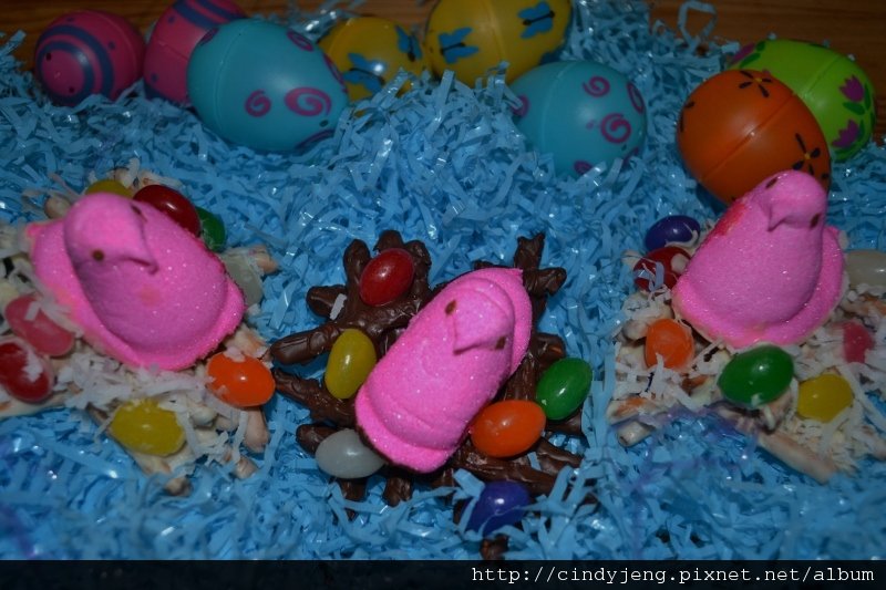 DSC_4428 (800x533)