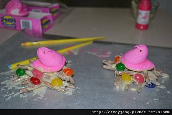 DSC_4380 (800x533)