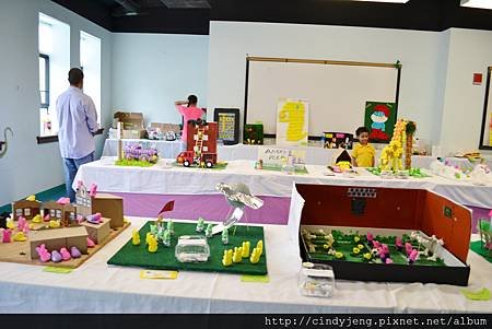 DSC_5941 (1024x683)