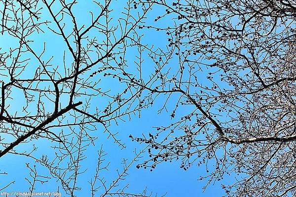 20130228_139