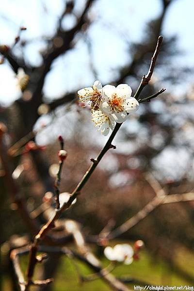 20130302_086