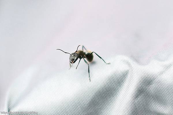 20130830_027