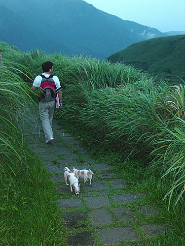 陽明山之旅20.jpg