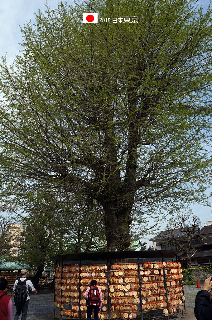 417_51今戶神社繪馬.jpg