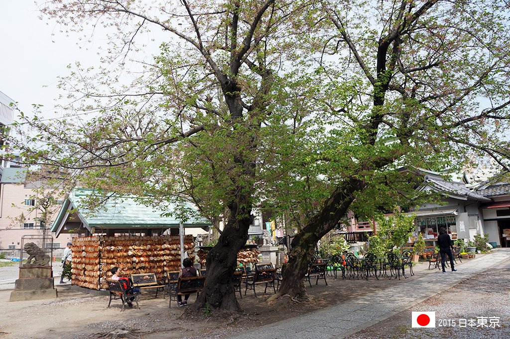 417_53今戶神社內.jpg