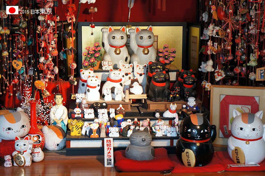 417_67今戶神社之社務所內眾貓咪們.jpg