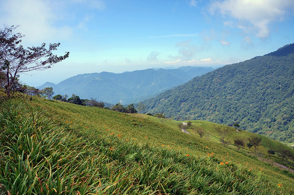 台東太麻里金針山3之忘憂谷.jpg