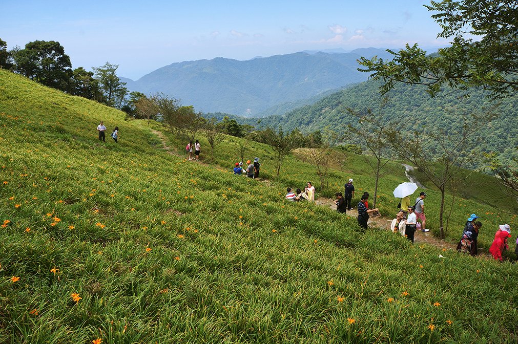 台東太麻里金針山6之忘憂谷.jpg