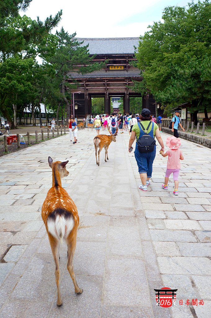 0712-033往東大寺的南大門走去了.jpg