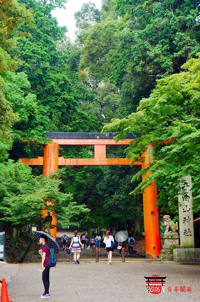 0712-057手向山神社的紅鳥居和綠樹好搭.jpg