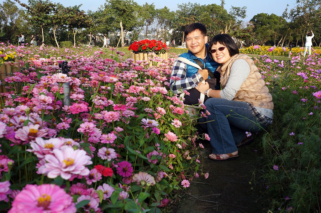 台中后里_花田綠廊之國際花毯節2.jpg