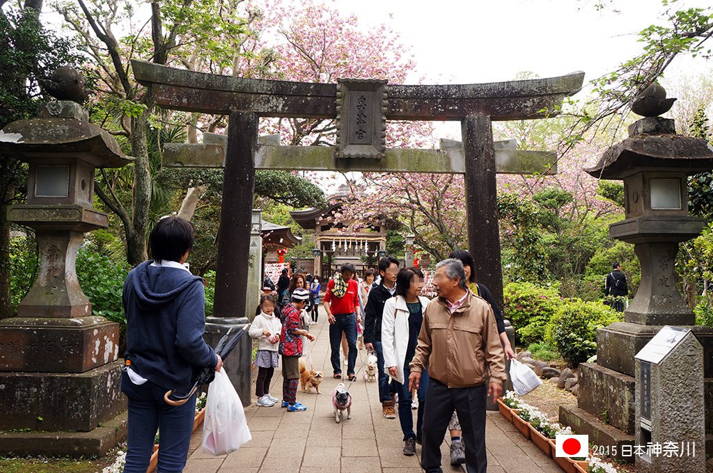 419_113會先遇到江島神社的奧津宮.jpg