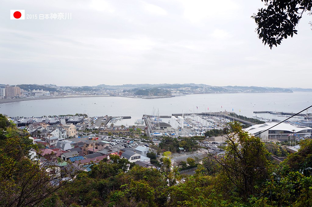 419_124下山只能走步道可多看不同風景.jpg