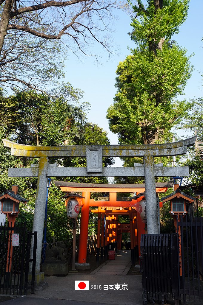 0422_11花園稻荷神社也有不少鳥居.jpg