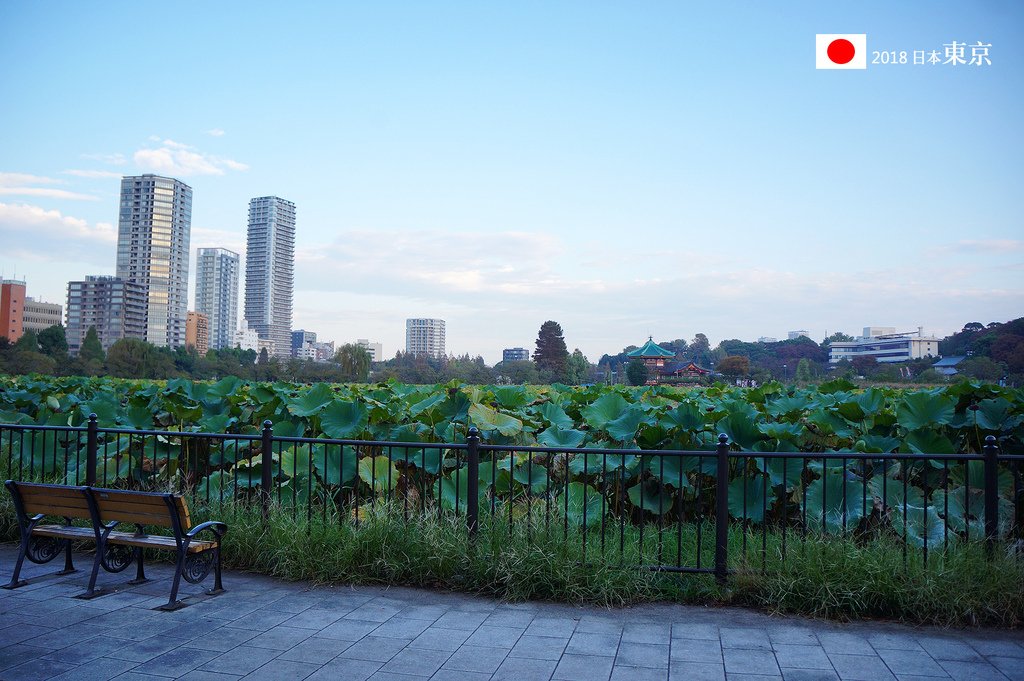 1020-002上野公園不忍荷花池和弁天堂.jpg