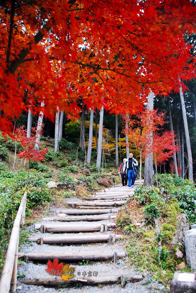 1121-091走到後方可上個小山坡.jpg