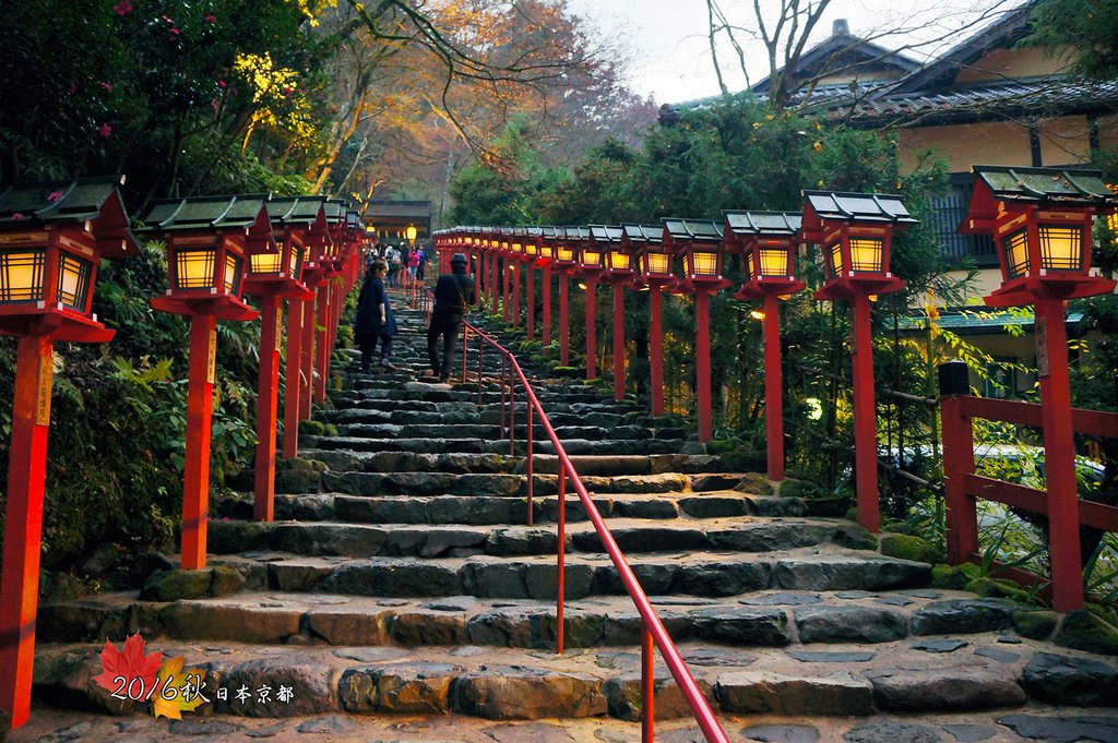 1121-159早回是要在這南參道拍夜景.jpg