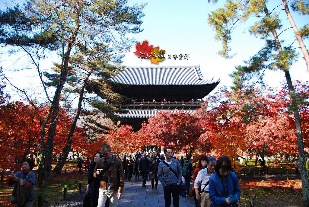 1122-066三門和紅葉林真的蠻搭的啊.jpg