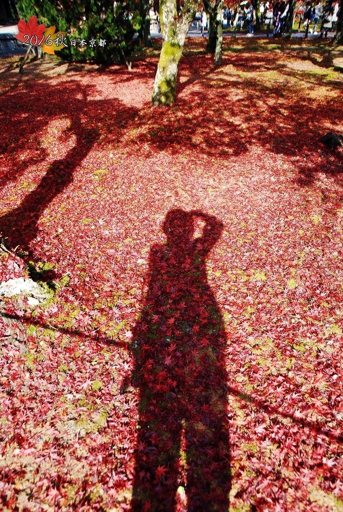 1122-065硬要和紅地毯合影.jpg