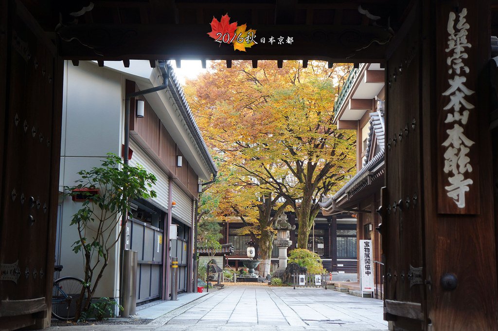 1122-253本能寺山門前張望.jpg