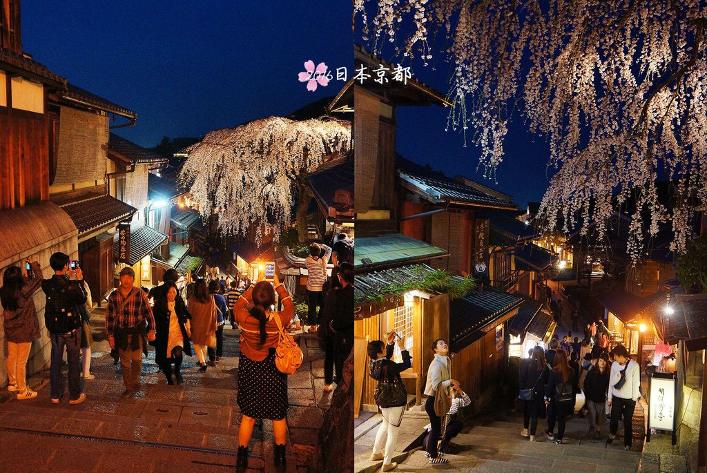 0331-362三年坂的櫻花在夜晚依然吸引遊客駐足拍照.jpg