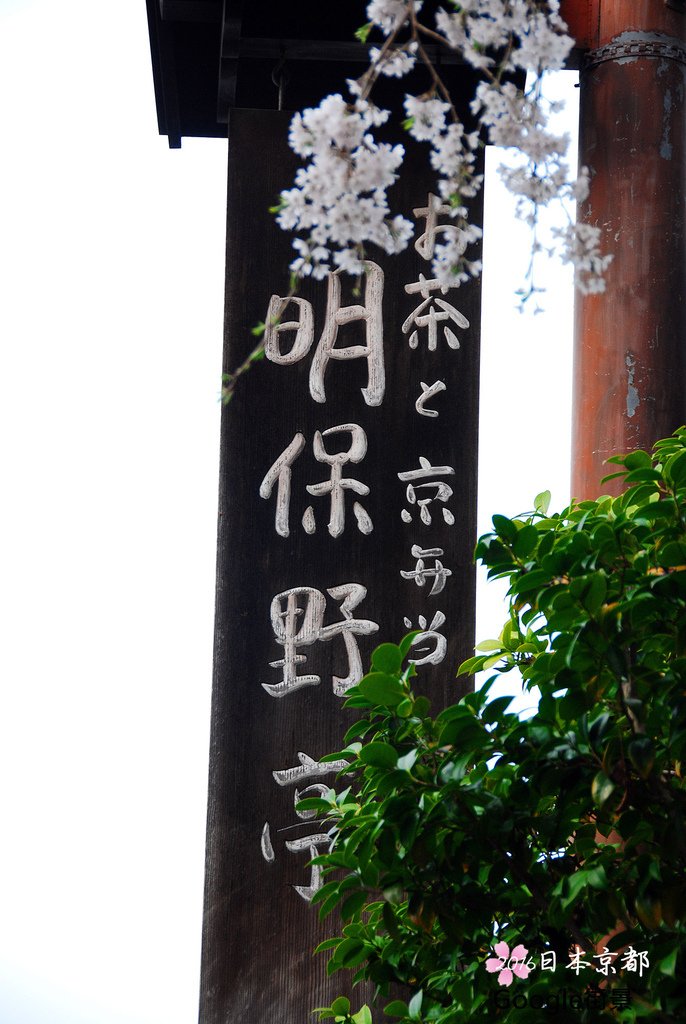0331-365三年坂櫻花前的明野保亭坂本龍馬曾在此駐足過.jpg