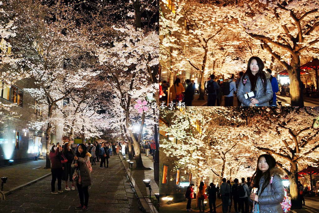 0331-404白川筋上的夜櫻.jpg