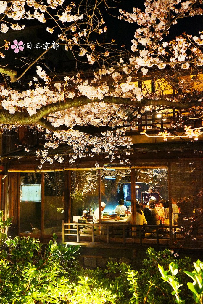 0331-414白川南通上的町屋有高級餐廳.jpg