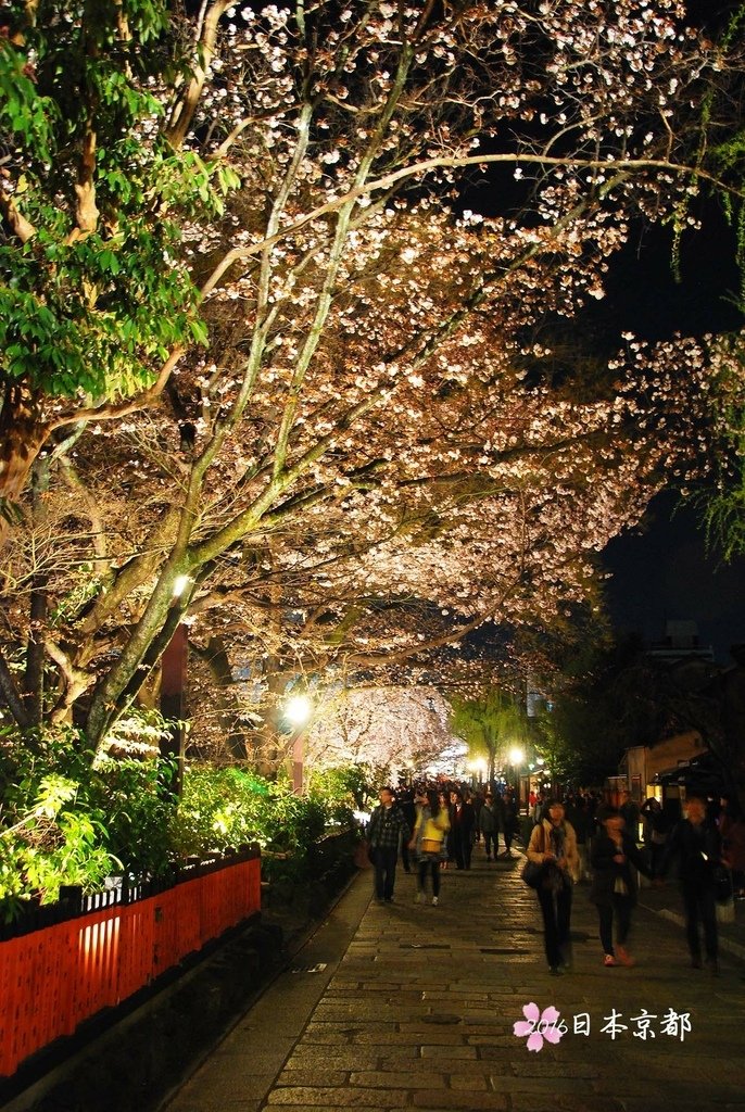 0331-416接近白川南通賞櫻步道尾端有這紅色柵欄.jpg