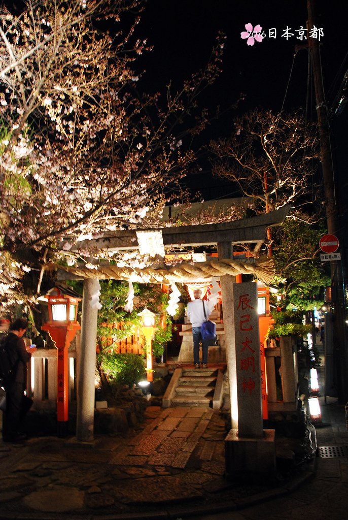 0331-418白川南通賞櫻步道盡頭的辰已神社.jpg