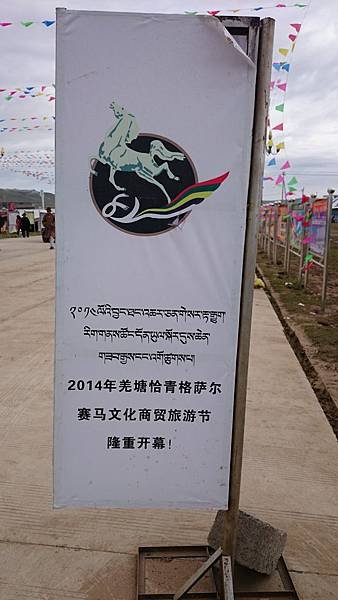 DSC_0810.JPG