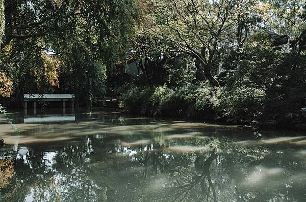 DSC_7443.jpg