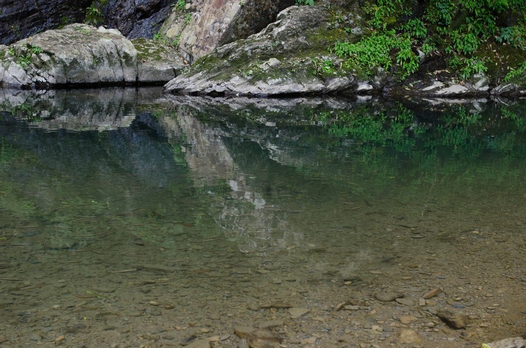 DSC_2348.jpg
