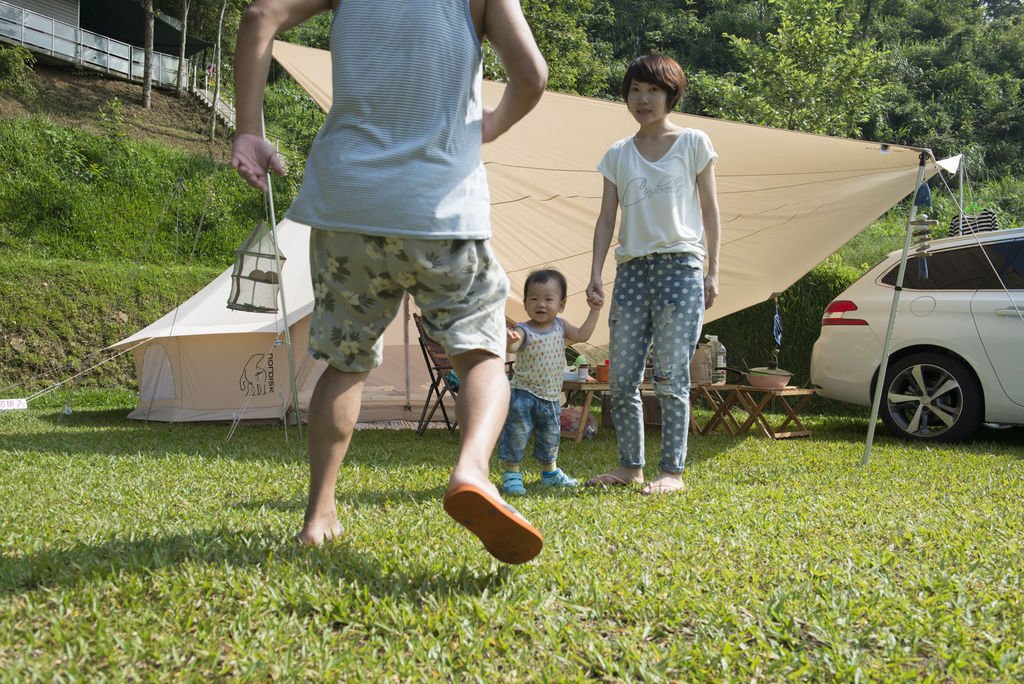 豬-1055.jpg