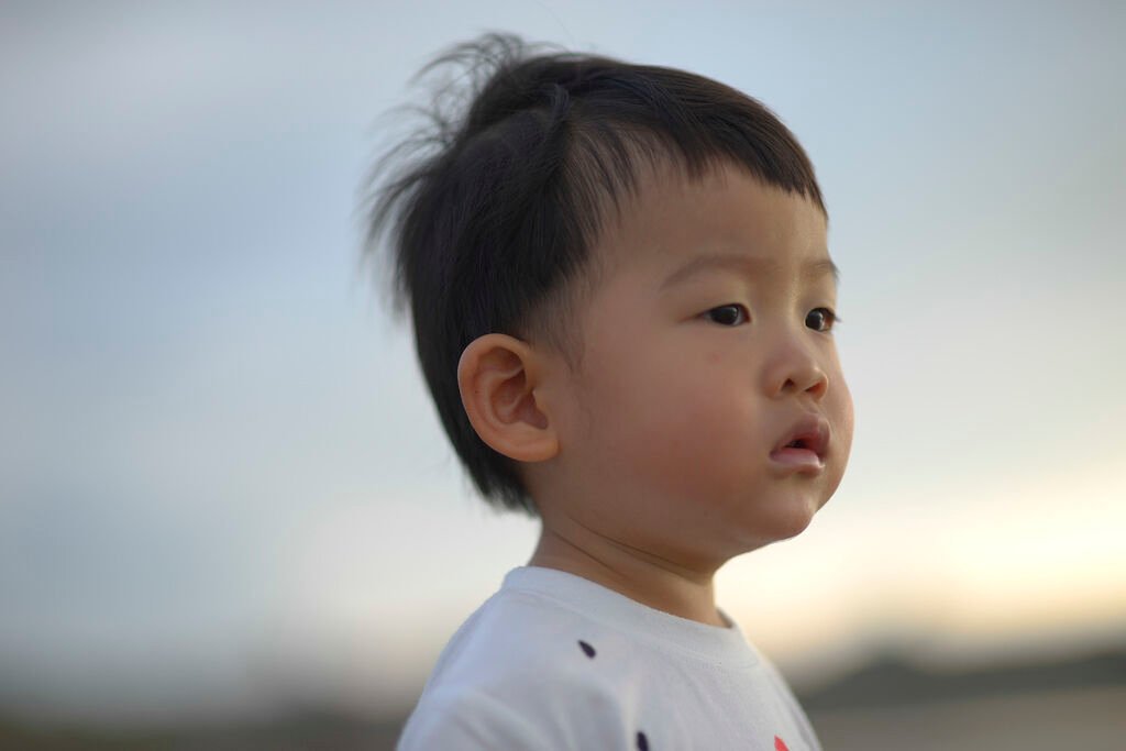 豬-2956.jpg