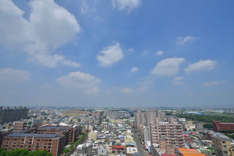 豬-3356.jpg