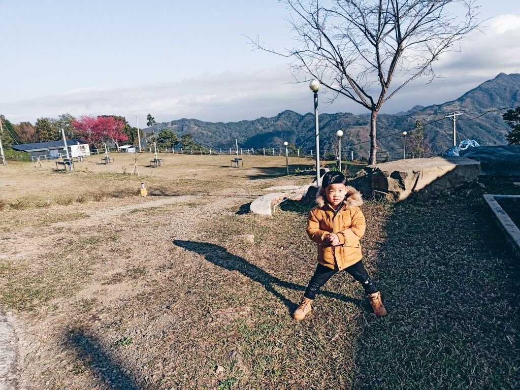 ice_2019-01-26-08-36-04-992.jpg