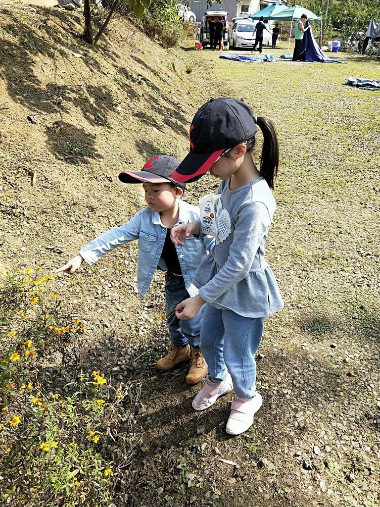 IMG20190302103047.jpg