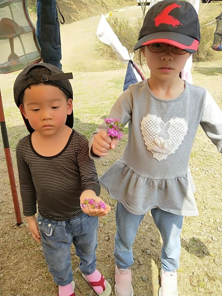 IMG20190302115710.jpg