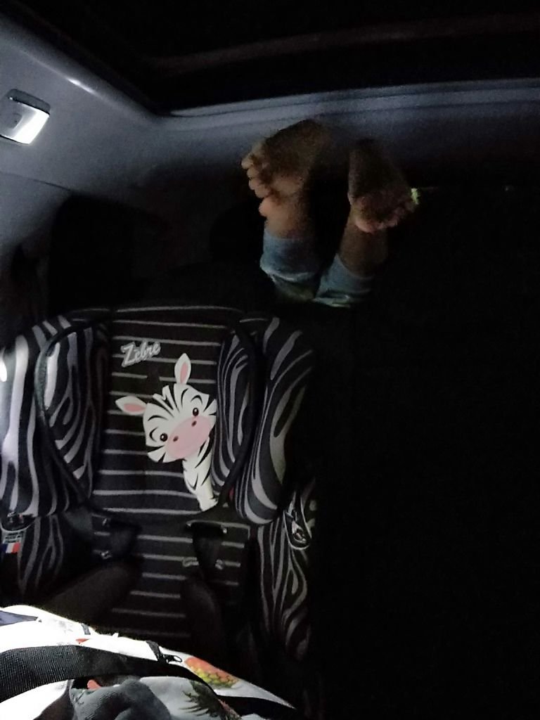 IMG20191025200129.jpg