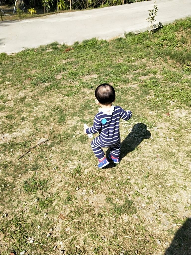 IMG20191026095801.jpg