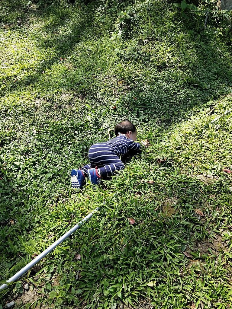 IMG20191026100730.jpg
